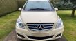 Mercedes-Benz B 180 Benzin/Gas Automatik (Van)