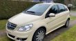 Mercedes-Benz B 180 Benzin/Gas Automatik (Van)