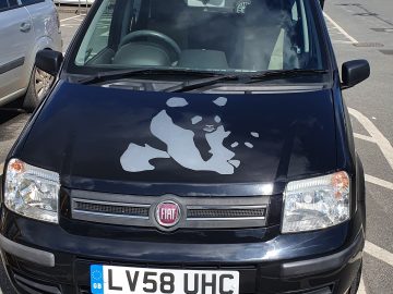 Great runner good condition