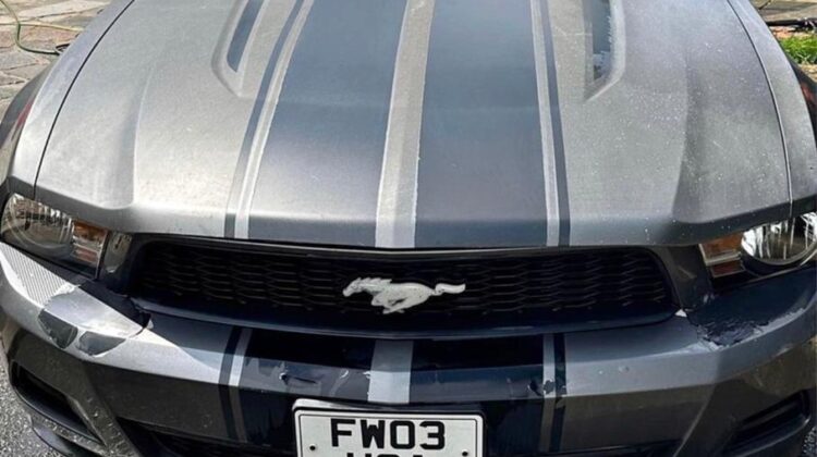 2010 Ford Mustang for sale
