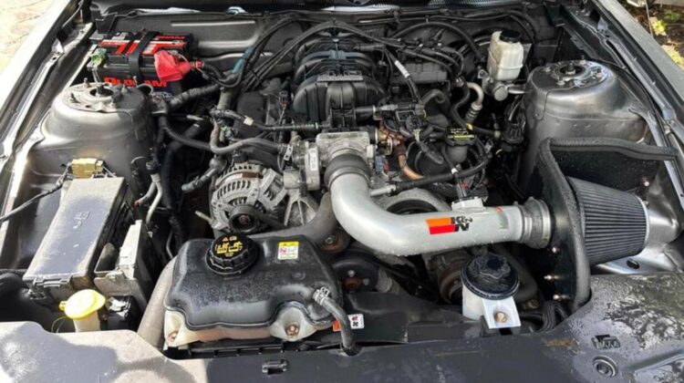 2010 Ford Mustang for sale